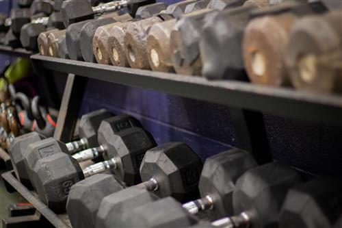 Dumbbells in work out room 